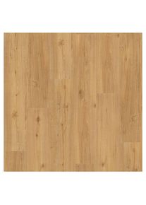 PARADOR vinyle Basic 30 ch&ecirc;ne naturel bross&eacute;, 1 pack &agrave; prix bas