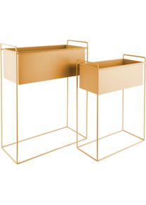 Present Time, Blumentopf, Essence (51 x 24 x 65 cm)