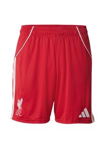 adidas Performance Spodnie sportowe 'FC Liverpool FC 25/26' dla mężczyzn czerwony / biały Rozmiar M