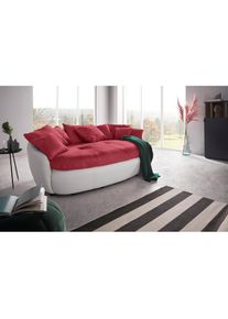 COTTA, &raquo;Aruba&laquo; gem&uuml;tliches Megasofa in XXL in organischer Form mit vielen Kissen, bordeaux / wei&szlig;, Luxus-Microfaser (100% Polyester); Microfaser-