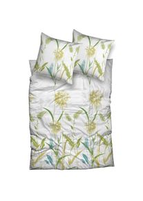 CASATEX, Bettw&auml;sche &raquo;Ampere&laquo; 2 tlg. wundersch&ouml;n und fr&uuml;hlingshaft, gr&uuml;n, Satin, Bezug: 100% Baumwolle, B/L: 155 cm x 220 cm - 1 Stk., gr&uuml;n