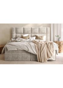 Boxxx Boxbett, Beige, Textil, Kiefer, massiv, H3, H&ouml;he ca. 20 cm, 180x200 cm, Bettkasten, Matratze, gepolstertes Kopfteil, Stoffauswahl, Topper durchgehend, in verschiedenen Gr&ouml;&szlig;en erh&auml;ltlich, Schlafzimmer, Betten, Boxspringbetten