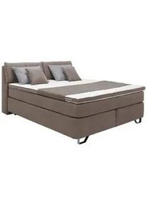 Boxspringbett Tabea Taupe ca. 160x200cm