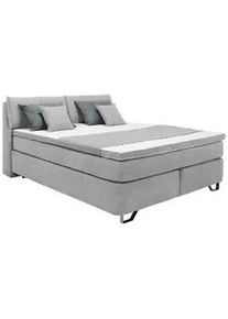 Boxspringbett Tabea Hellgrau ca. 160x200cm