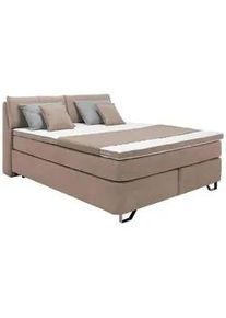 Boxspringbett Tabea Beige ca. 160x200cm