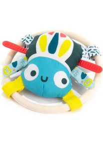 Miniland Spider Rattle