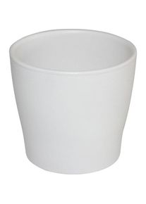 Domoletti, Blumentopf, Toskania