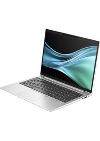 HP EliteBook 835 G11 (13.30", 512 GB, 16 GB, Deutschland), Notebook, Silber