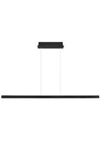 LED-H&auml;ngeleuchte Dentsy Schwarz/Transparent max.53Watt