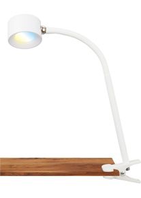 Briloner Leuchten Klemmleuchte "Tari Klemmleuchte", wei&szlig; (wei&szlig;, neutral), Leuchten, Klemmleuchte