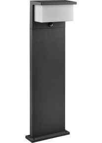 LED Au&szlig;en-Stehlampe Trio LEUCHTEN "NESTOS, LED Outdoor Stehleuchte Garten H&ouml;he 80cm, Bewegungsmelder", grau (anthrazit), B:26cm H:80cm, Leuchten, LED Au&szlig;en-Stehlampe, LED warmwei&szlig; 3000K, 1300 Lumen, IP54 Pollerleuchte Terrasse Garten