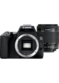 Canon EOS 250D 18-55mm III