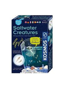Selecta Play Kosmos Saltwater Creatures Playset
