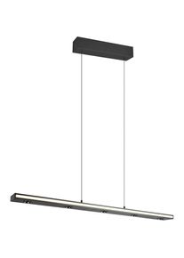 Trio Leuchten, LED Pendelleuchte &raquo;GRAHAM, H&auml;ngeleuchte h&ouml;henverstellbar, dimmbar, Memoryfunktion&laquo; LED-Board 1 Stk. Farbwechsler warmwei&szlig; - kaltwei&szlig; up