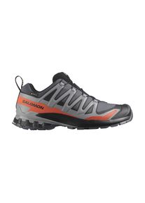 Salomon Herren XA Pro 3D V9 GTX grau 49.3