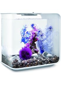 Oase, Brunnen + Gartenteich, biOrb Aquarium 30 Dekor-Set