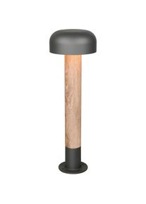 Trio Leuchten Au&szlig;en-Stehlampe &raquo;FRASER, Outdoor Stehleuchte H&ouml;he 54cm, exkl 1x E27 max 10W, IP54&laquo; E27 1 Stk. warmwei&szlig; - kaltwei&szlig; Wegeleuchte Garten 