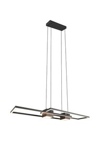 Trio Leuchten LED Pendelleuchte &raquo;ALBANY, LED H&auml;ngelampe Wohnzimmer mit Fernbedienung, dimmbar, CCT&laquo; LED-Board 1 Stk. warmwei&szlig; - kaltwei&szlig; Lichtfarbe 