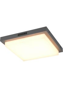 Trio Leuchten, LED Au&szlig;en-Wandleuchte &raquo;BERMEJO, Hausnummer Leuchte mit Bewegungsmelder IP54 Fassadenleuchte&laquo; LED-Board 1 Stk. Farbwechsler warmwei&szlig; - 