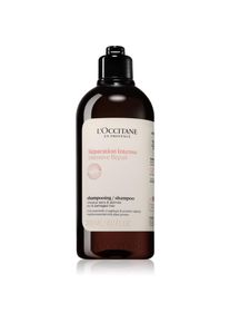 L&rsquo;Occitane L&rsquo;Occitane Intensive Repair Shampoo intenz&iacute;ven regener&aacute;l&oacute; sampon sz&aacute;raz &eacute;s s&eacute;r&uuml;lt hajra 300 ml