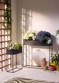 Fioriere (set 2 pezzi), Nero, Taglia Onesize, bonprix