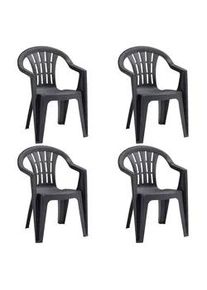 JARDIN STAPELSESSEL N01364