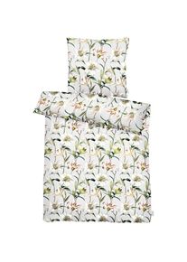 Apelt, Bettw&auml;sche &raquo;Lilia GOTS&laquo; 2 Stk. K&ouml;nigs-Lilienbl&uuml;ten, grau, Satin (Bio-Baumwolle), Obermaterial: 100% Baumwolle, B/L: 155 cm x 220 cm - 1 Stk.