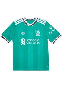 Adidas, Jungen, Fussballtrikot, 3. Trikot des Junior Liverpool FC (164), 164