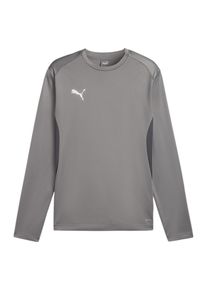 Puma M&auml;n Sport sweatshirt 'TeamGoal' gr&aring; / vit Storlek XL