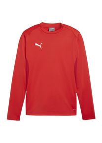 Puma M&auml;n Sport sweatshirt 'teamGOAL' r&ouml;d / vit Storlek S