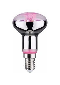 Paulmann, Leuchtmittel, Grow Green Pflanzenlampe R50 (E14, 100 lm, 1 x)