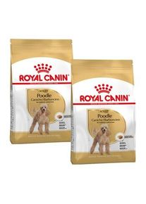 Royal Canin Caniche Adulte Croquettes Chien 2x7,5 kg