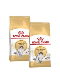 Royal Canin Norv&eacute;gien Adulte Croquettes Chat 2x10 kg