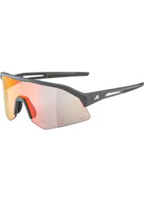 Alpina Sports	 Alpina Sports, Unisex, Sportbrille, Sonic HR QV (Midnight-grey matt, Rainbow), Grau