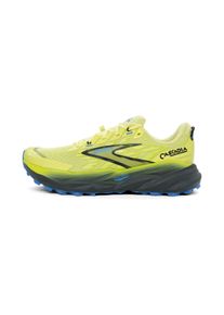 Brooks Cascadia 19 Homme