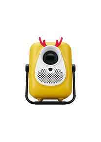 Acer Projektoren AOpen Fire Legend QF23s - 1920 x 1080 - 250 ANSI lumens