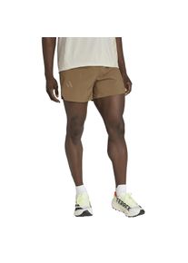 Adidas Terrex Xperior CLIMA365 5 Inch Shorts Herren