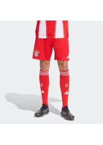 Trainingsshorts adidas Performance "FC BAYERN M&Uuml;NCHEN 25/26", Herren, Gr. XXL, N-Gr, rot (rot, normal, gr.), Obermaterial: 100% Polyester, Hosen Trainingsshorts