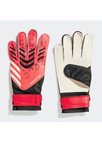 Torwarthandschuhe adidas Performance "PREDATOR TRAINING", Gr. 7, schwarz (schwarz, lucid rot, schwarz), Obermaterial: 65% Polyester, 35% Polyurethan, Handschuhe Torwarthandschuhe