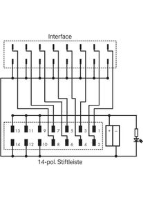 WAGO Interface, Messtechnik, Schwarz