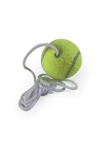 SUMMER Pole Tennis Extra Ball