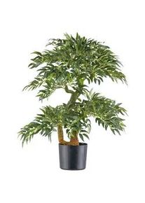 Kunstpflanze Rucus Gr&uuml;n/Braun