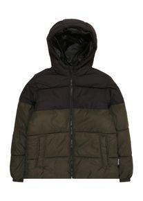 Jack & Jones Jack & Jones Junior Drenge Vinterjakke 'MAZE' brun / m&oslash;rkegr&oslash;n St&oslash;rrelse 164
