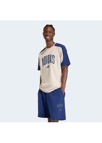 adidas Sportswear, Herren, T-Shirt &raquo;COLLEGIATE&laquo; sportlicher Stil, klassischer Rundhalsausschnitt, ohne Verschluss, Wonder Alumina/Dark Blue, L, 