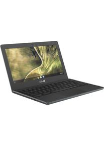ASUS Chromebook C204MA (11.60", 4 GB, Deutschland, Intel Celeron N4000), Notebook, Grau