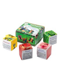 H&auml;decke Verlag Bio-Blumensamen Samenw&uuml;rfel f&uuml;r Schmetterlinge