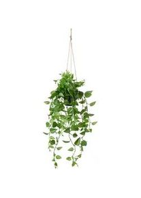 Kunstpflanze Philodendronh&auml;nger in Gr&uuml;n