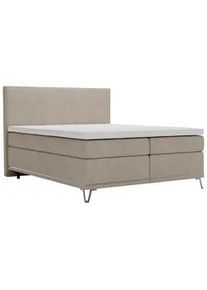Boxspringbett Cromo Beige ca. 160x200