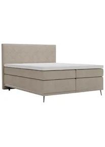 Boxspringbett Beige