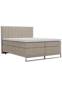 Boxspringbett Cromo Beige ca. 200x200